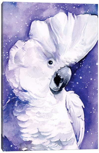Celestial Cockatoos I Canvas Art Print - Cockatoos
