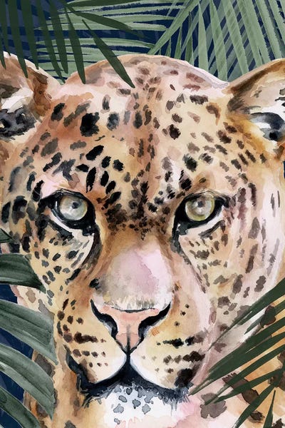Cougars: Jungle Cat II by Jennifer Paxton Parker