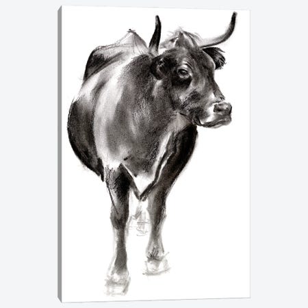 Charcoal Cattle I Canvas Print #JPP464} by Jennifer Paxton Parker Canvas Art Print