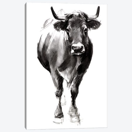 Charcoal Cattle II Canvas Print #JPP465} by Jennifer Paxton Parker Canvas Art Print