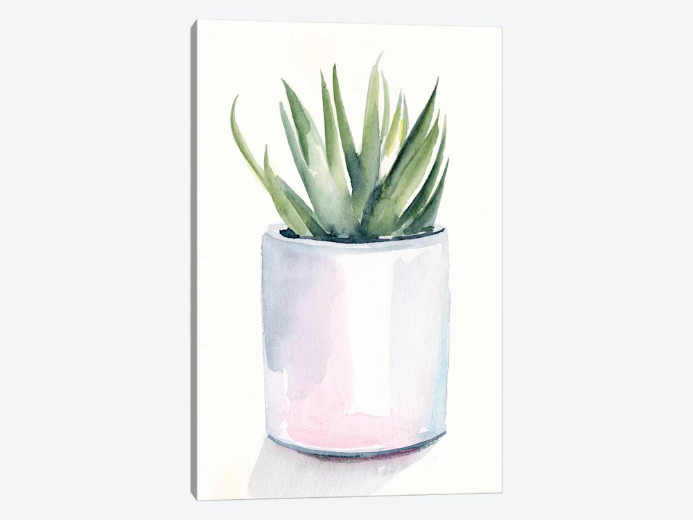 Potted Succulent III by Jennifer Paxton Parker 1-piece Canvas Artwork