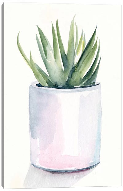 Potted Succulent III Canvas Art Print - Cactus Art