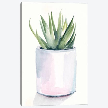 Potted Succulent III Canvas Print #JPP478} by Jennifer Paxton Parker Canvas Print