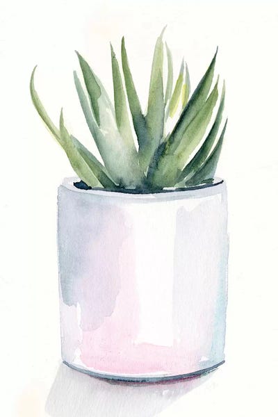 Bohemian Décor: Potted Succulent III by Jennifer Paxton Parker