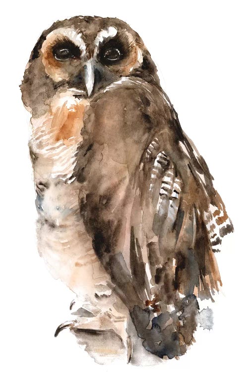 Watercolor Owl I