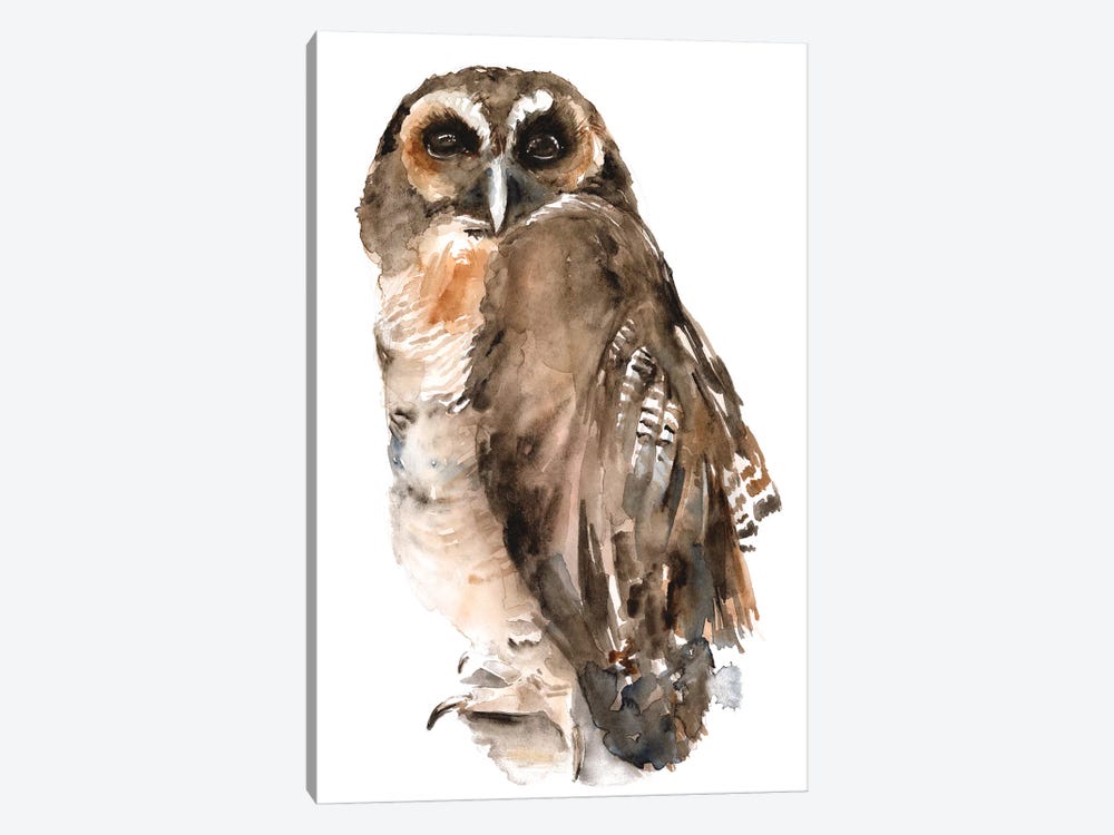Watercolor Owl I 1-piece Canvas Print