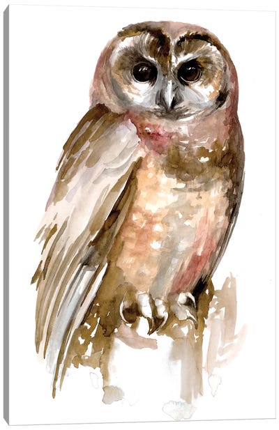 Watercolor Owl II Canvas Art Print - Owl Art