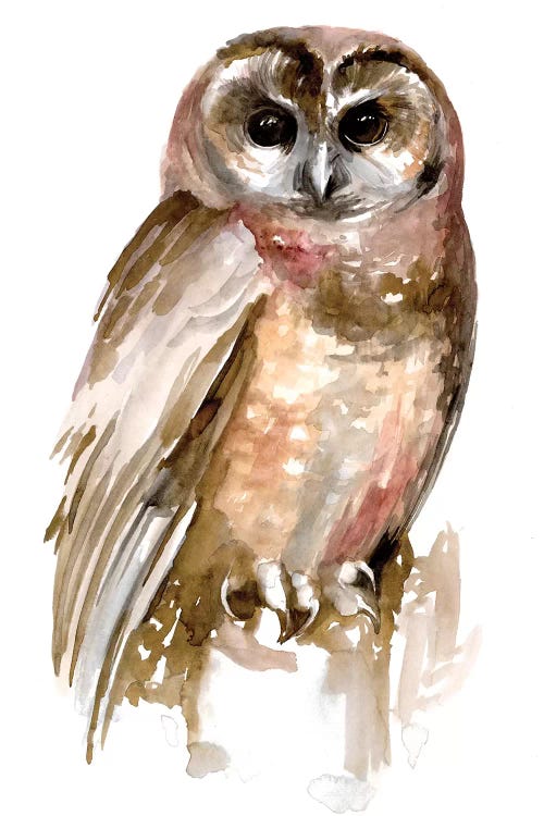 Watercolor Owl II