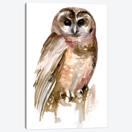 Watercolor Owl II Canvas Print #JPP483} by Jennifer Paxton Parker Canvas Artwork