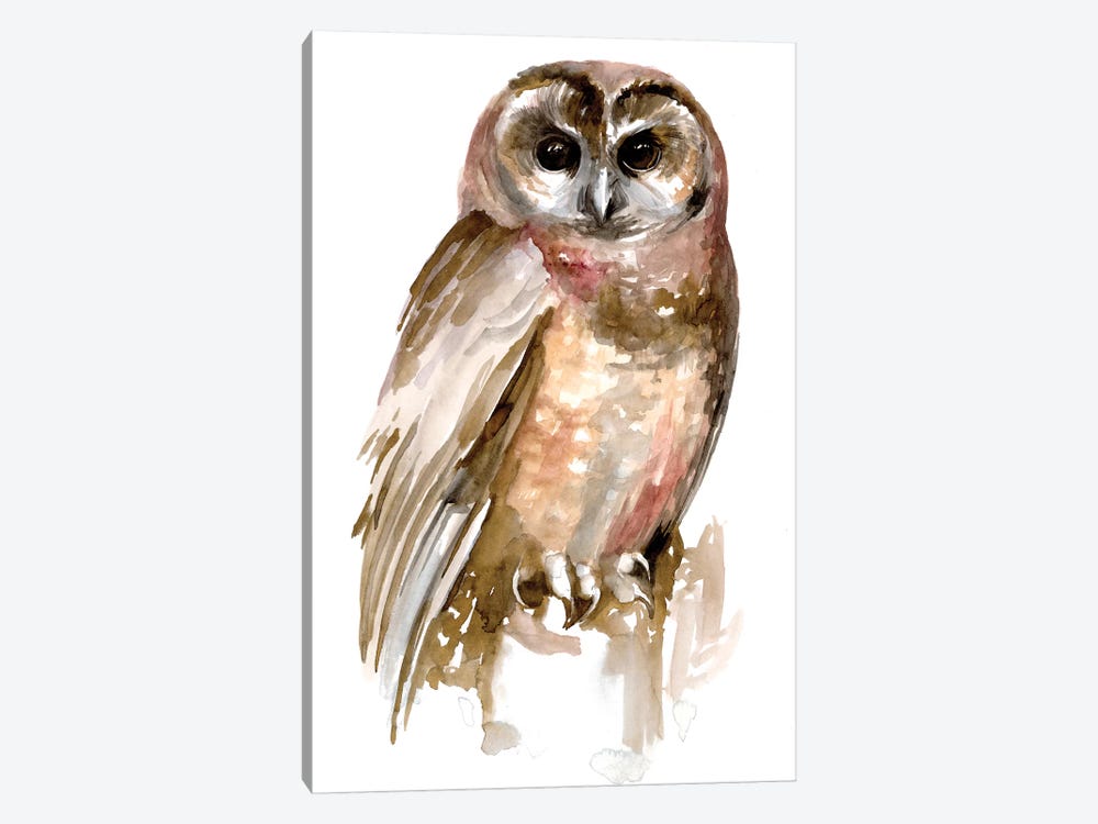 Watercolor Owl II by Jennifer Paxton Parker 1-piece Canvas Art