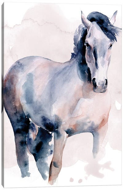 Horse in Watercolor I Canvas Art Print - Jennifer Paxton Parker