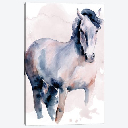 Horse in Watercolor I Canvas Print #JPP490} by Jennifer Paxton Parker Art Print