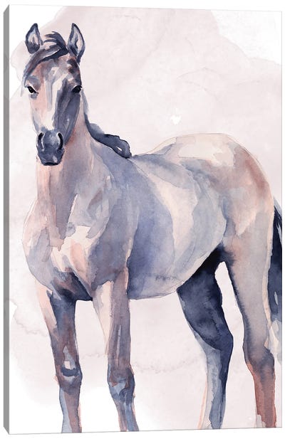 Horse in Watercolor II Canvas Art Print - Jennifer Paxton Parker
