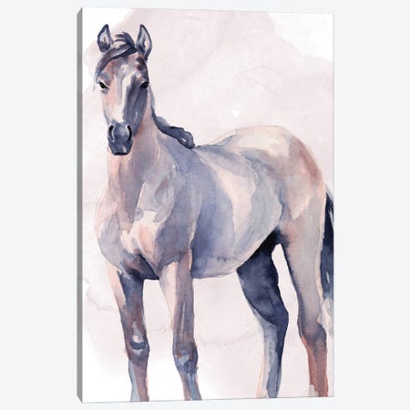 Horse in Watercolor II Canvas Print #JPP491} by Jennifer Paxton Parker Art Print
