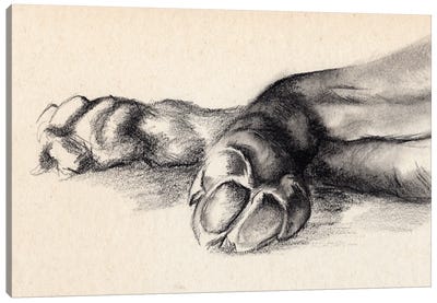 Charcoal Paws I Canvas Art Print - Jennifer Paxton Parker