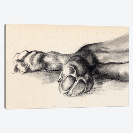 Charcoal Paws I Canvas Print #JPP498} by Jennifer Paxton Parker Art Print