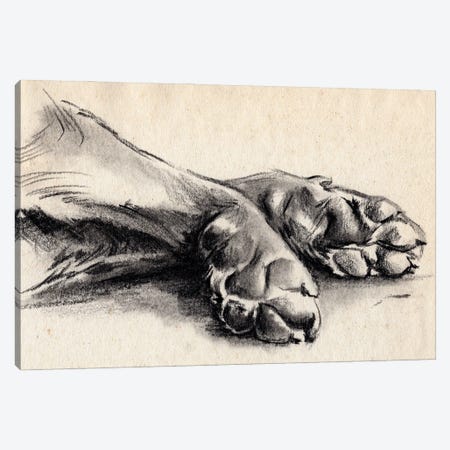 Charcoal Paws II Canvas Print #JPP499} by Jennifer Paxton Parker Art Print