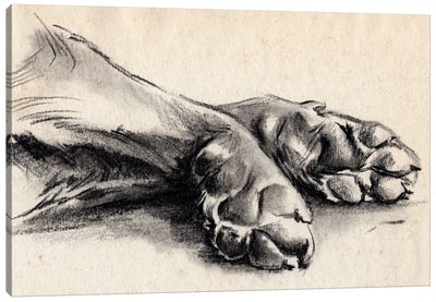 Charcoal Paws II Canvas Art Print - Jennifer Paxton Parker