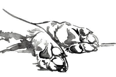 Linear Paws I by Jennifer Paxton Parker art print