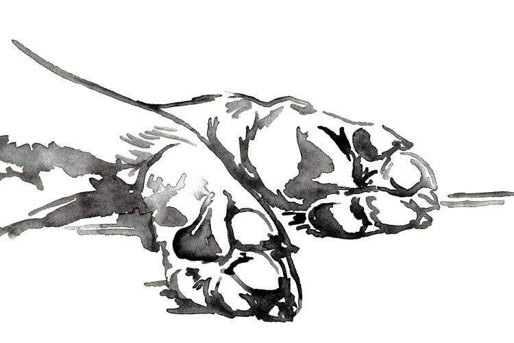 Linear Paws I by Jennifer Paxton Parker wall art