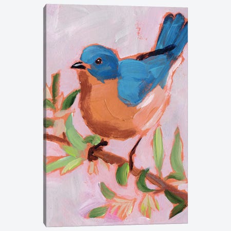 Painted Songbird I Canvas Print #JPP504} by Jennifer Paxton Parker Canvas Art