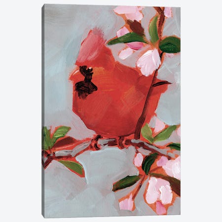 Painted Songbird IV Canvas Print #JPP507} by Jennifer Paxton Parker Canvas Art