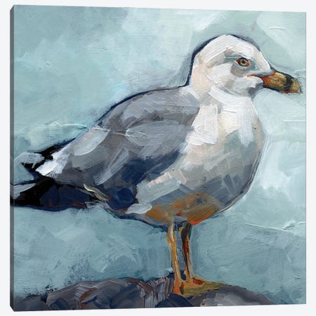 Seagull Stance I Canvas Print #JPP512} by Jennifer Paxton Parker Canvas Artwork