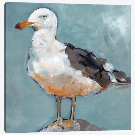 Seagull Stance II Canvas Print #JPP513} by Jennifer Paxton Parker Canvas Wall Art