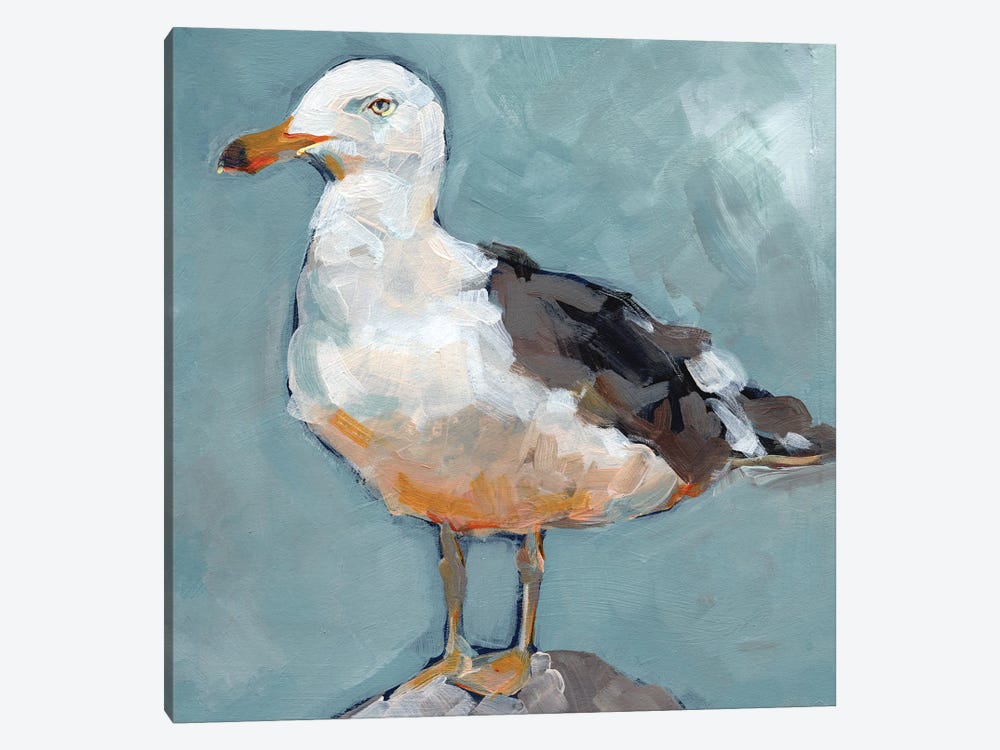 Seagull Stance Ii Canvas Art Print By Jennifer Paxton Parker Icanvas - Seagull Wall Art Paintings