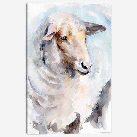Watercolor Sheep I Canvas Print #JPP514} by Jennifer Paxton Parker Canvas Print