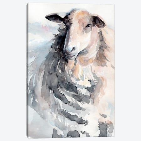 Watercolor Sheep II Canvas Print #JPP515} by Jennifer Paxton Parker Canvas Art Print