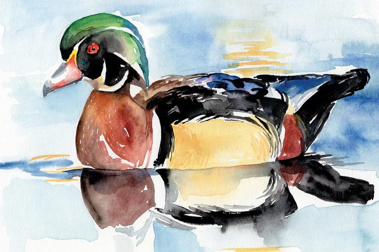 Watercolor Woodduck I