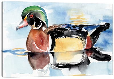 Watercolor Woodduck I Canvas Art Print - Duck Art