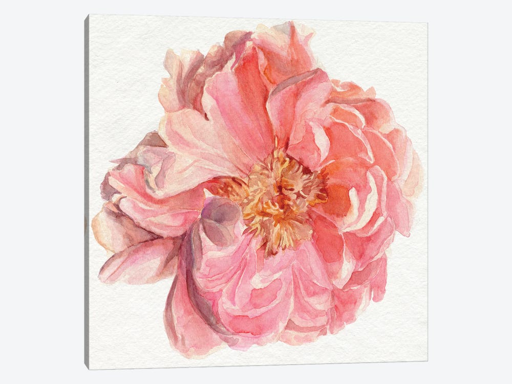 Blossomed Peony I by Jennifer Paxton Parker 1-piece Canvas Artwork