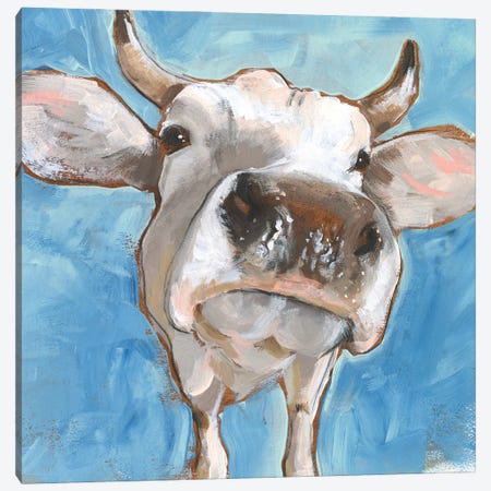 Cattle Close-up I Canvas Print #JPP530} by Jennifer Paxton Parker Canvas Wall Art