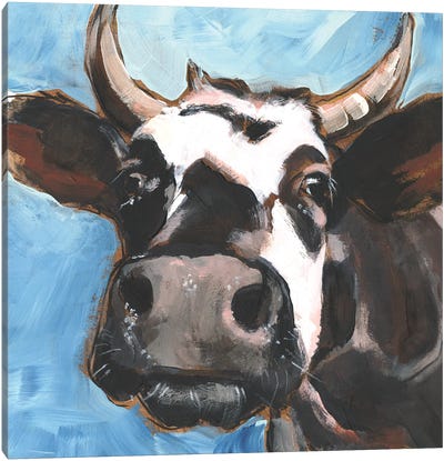 Cattle Close-up II Canvas Art Print - Jennifer Paxton Parker