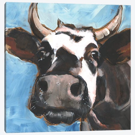 Cattle Close-up II Canvas Print #JPP531} by Jennifer Paxton Parker Canvas Artwork
