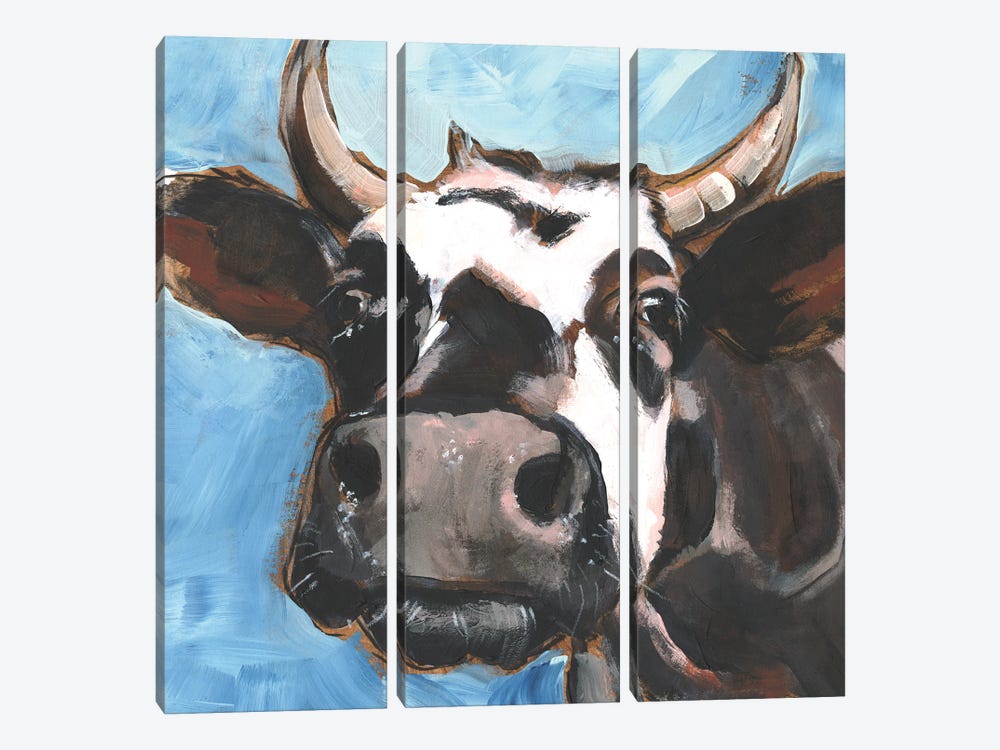 Cattle Close-up II by Jennifer Paxton Parker 3-piece Canvas Art