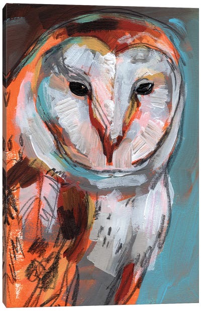 Optic Owl I Canvas Art Print - Jennifer Paxton Parker