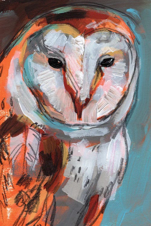 Optic Owl I by Jennifer Paxton Parker wall art