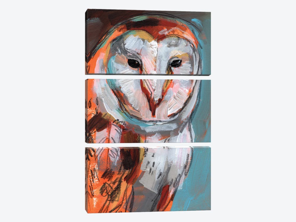 Optic Owl I by Jennifer Paxton Parker 3-piece Canvas Artwork