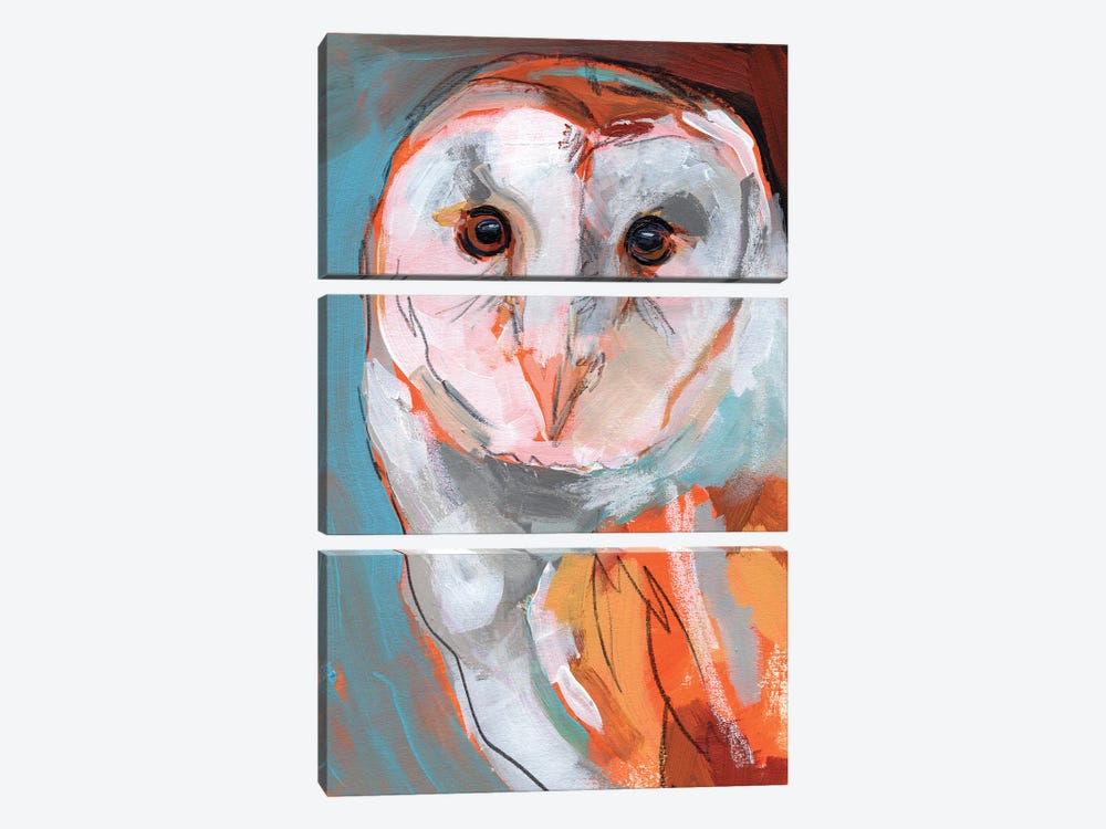 Optic Owl II by Jennifer Paxton Parker 3-piece Canvas Art Print