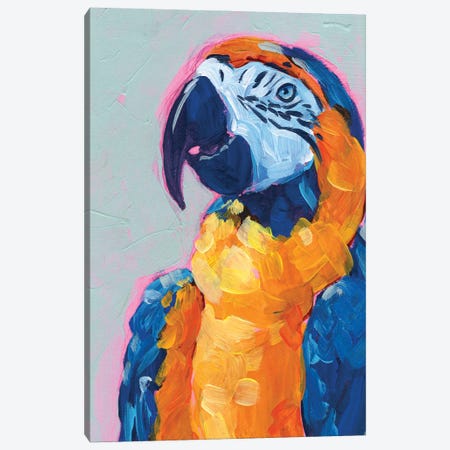 Pop Art Parrot I Canvas Print #JPP564} by Jennifer Paxton Parker Canvas Wall Art