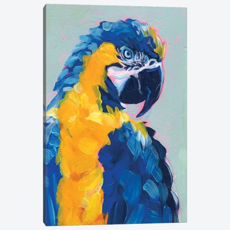 Pop Art Parrot II Canvas Print #JPP565} by Jennifer Paxton Parker Canvas Artwork