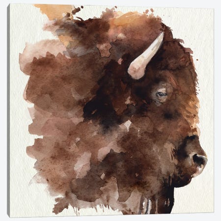 Watercolor Bison Profile I Canvas Print #JPP574} by Jennifer Paxton Parker Art Print