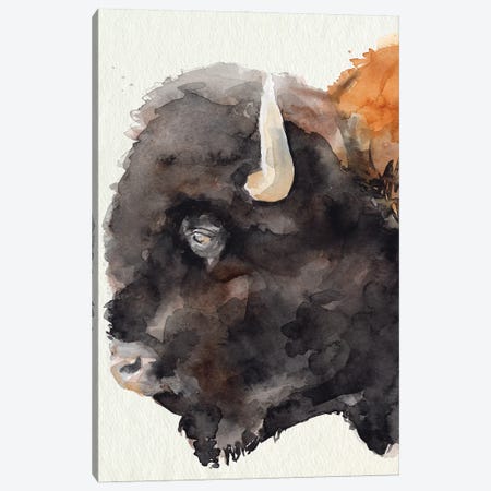 Watercolor Bison Profile II Canvas Print #JPP575} by Jennifer Paxton Parker Art Print
