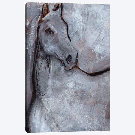 White Horse Contour I Canvas Print #JPP578} by Jennifer Paxton Parker Canvas Art