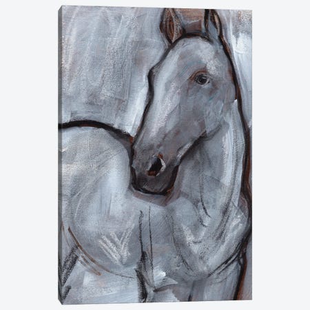White Horse Contour II Canvas Print #JPP579} by Jennifer Paxton Parker Canvas Wall Art