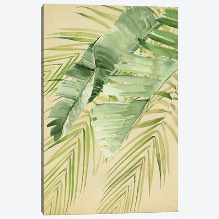 Banana Palms II Canvas Print #JPP586} by Jennifer Paxton Parker Canvas Artwork