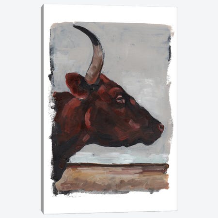 Cattle View II Canvas Print #JPP592} by Jennifer Paxton Parker Canvas Wall Art
